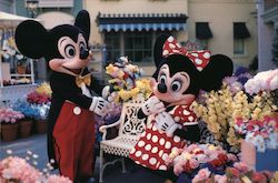 Mickey and Minnie at the Main Street Flower Market Postcard