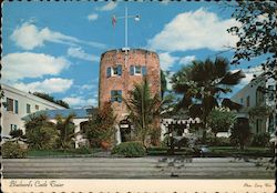 Bluebird's Castle Tower Postcard