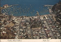 Avalon Town - Catalina Island, California Postcard