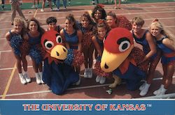 The University of Kansas Postcard
