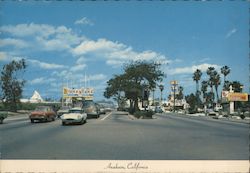 Harbor Boulevard Showing Disneyland Postcard