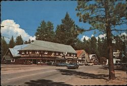 Overview of the town of Fawnskin, California Jim Burke Postcard Postcard Postcard