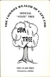 Clam Tree - Official State Tree of Cape Cod Postcard Collectors Club South Dennis, MA Katherine M. Meyers Postcard Postcard Postcard