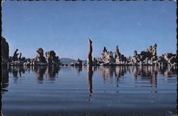 1975 Diver Pink Floyd Wish You Were Here Inside Cover Art Mono Lake, CA Performers & Groups Hipgnosis Postcard Postcard Postcard