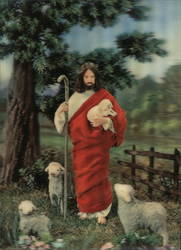 Jesus Christ as Shepherd in the Pasture Carrying Lamb and Staff Postcard