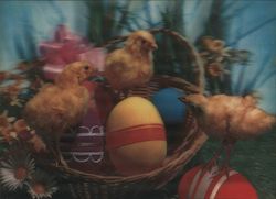 Baby Chicks and Colored Eggs in a Basket With Chicks Postcard Postcard Postcard