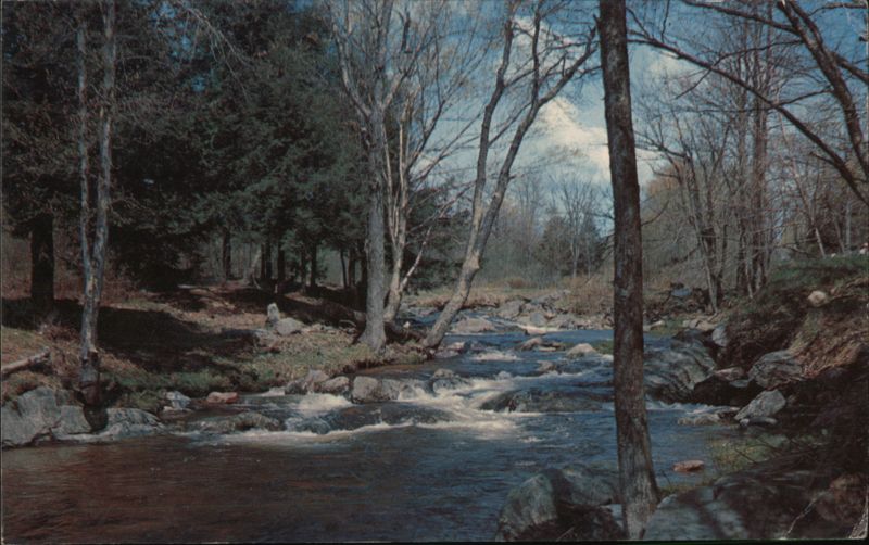 New Hampshire Stream with Trees and Rocks