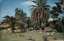 Ranchotel Motel, Lush Grounds with Palm Trees and Guests Relaxing Postcard