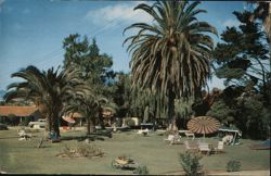 Ranchotel Motel, San Luis Obispo, CA - Lush Grounds with Palm Trees Postcard