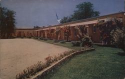 Colledale Motor Court, Bowling Green, KY Postcard