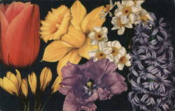 Colorful Spring Flowers: Tulips, Daffodils, Hyacinths, and More Postcard