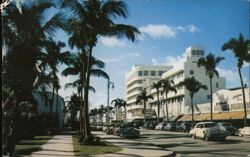 Lincoln Road, Miami Beach, Florida: A Postcard from 1955 Postcard