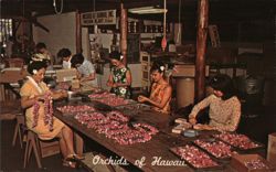 Orchids of Hawaii - 575 Hinano Street Postcard