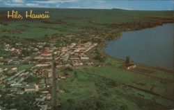 Aerial View of Hilo, Hawaii Postcard