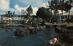 Naniloa Hotel, Hilo, Island of Hawaii Postcard