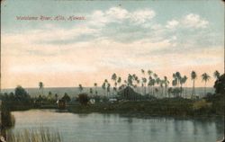 Wailolama River, Hilo, Hawaii: Serene Tropical Landscape Postcard