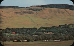 Waimea, Hawaii Parker Ranch Country Scenic Landscape View Postcard
