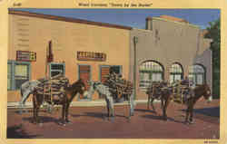 Wood Carriers, Down by the Border Scenic, AZ Postcard Postcard