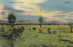 Sunset on the Desert Scenic, AZ Postcard Postcard