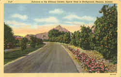Entrance to the Biltmore Estates, Squaw Peak in Background Phoenix, AZ Postcard Postcard