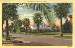 Calle Encanto Tucson, AZ Postcard Postcard