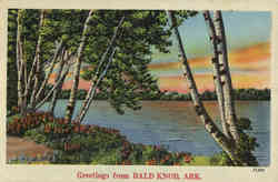 Greetings from Bald Knob Arkansas Postcard Postcard