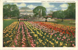 Formal Garden and Conservatory Lincoln Park Postcard