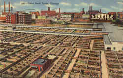 Union Stock Yards Postcard