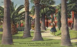 Stock #14137 Thumbnail