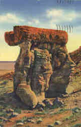 The Arm Chair Petrified Forest National Park, AZ Postcard Postcard