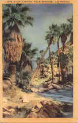 Palm Canyon Palm Springs, CA Postcard Postcard