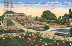 A Section of the Rose Garden, Rock Springs Park Fort Worth, TX Postcard Postcard