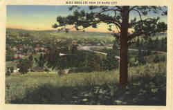 Birds Eye View of Rapid City Postcard