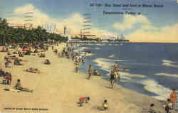 Sun, Sand and Surf at Miami Beach Postcard