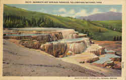 Mammoth Hot Springs Terraces Postcard