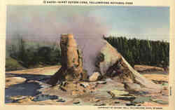 Giant Geyser Cone Postcard