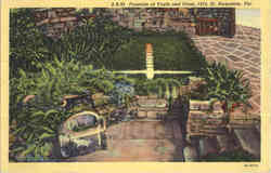 Fountain of Youth and Cross Postcard