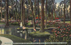 Beautiful Sunken Garden Fringed with Azaleas in Oriental Gardens, San Jose Blvd Jacksonville, FL Postcard Postcard