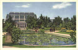 Missouri Botanical Garden Postcard