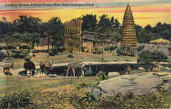 Looking Across African Plains, New York Zoological Park Postcard