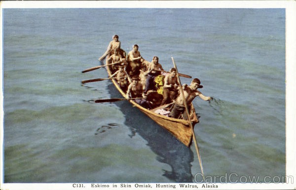 Eskimo in skin Omiak, Hunting Walrus Alaska