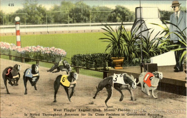 West Flagler Kennel Club Miami Florida