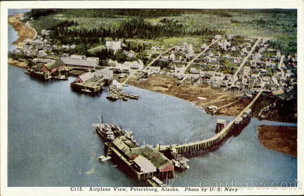 Airplane View Petersburg Alaska