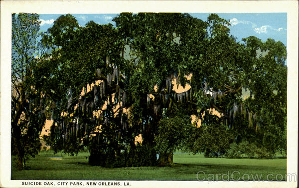 Suicide Oak, City Park New Orleans Louisiana