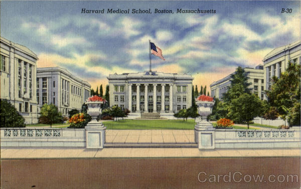 Harvard Medical School Boston Massachusetts