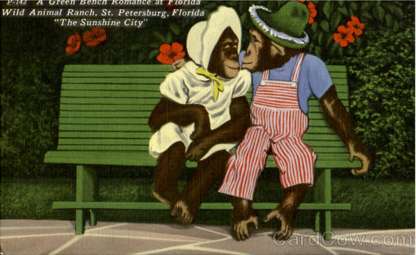 A Green Bench Romance at Fiorida The Sunsine City, Wild Animal Ranch St. Petersburg Florida