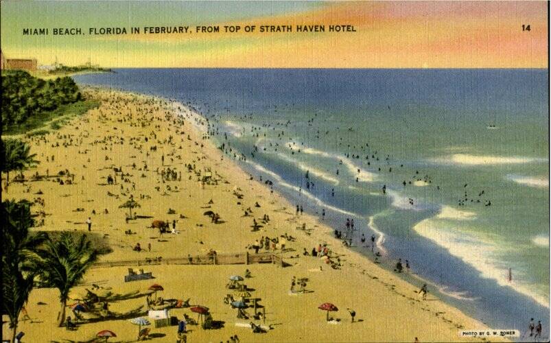 Florida In February, From Top Of Strath Haven Hotel. Miami Beach