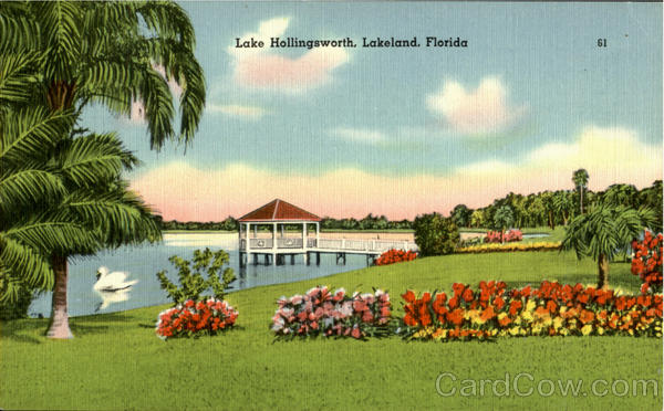 Lake Hollingsworth Lakeland Florida