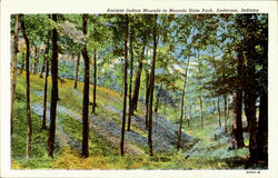 Ancient Indian Mounds in State park Anderson, IN Postcard Postcard