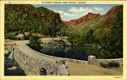 In Sabinc Canyon Postcard